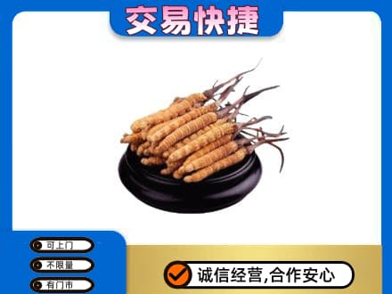榆林市靖边礼品回收散虫草.jpg